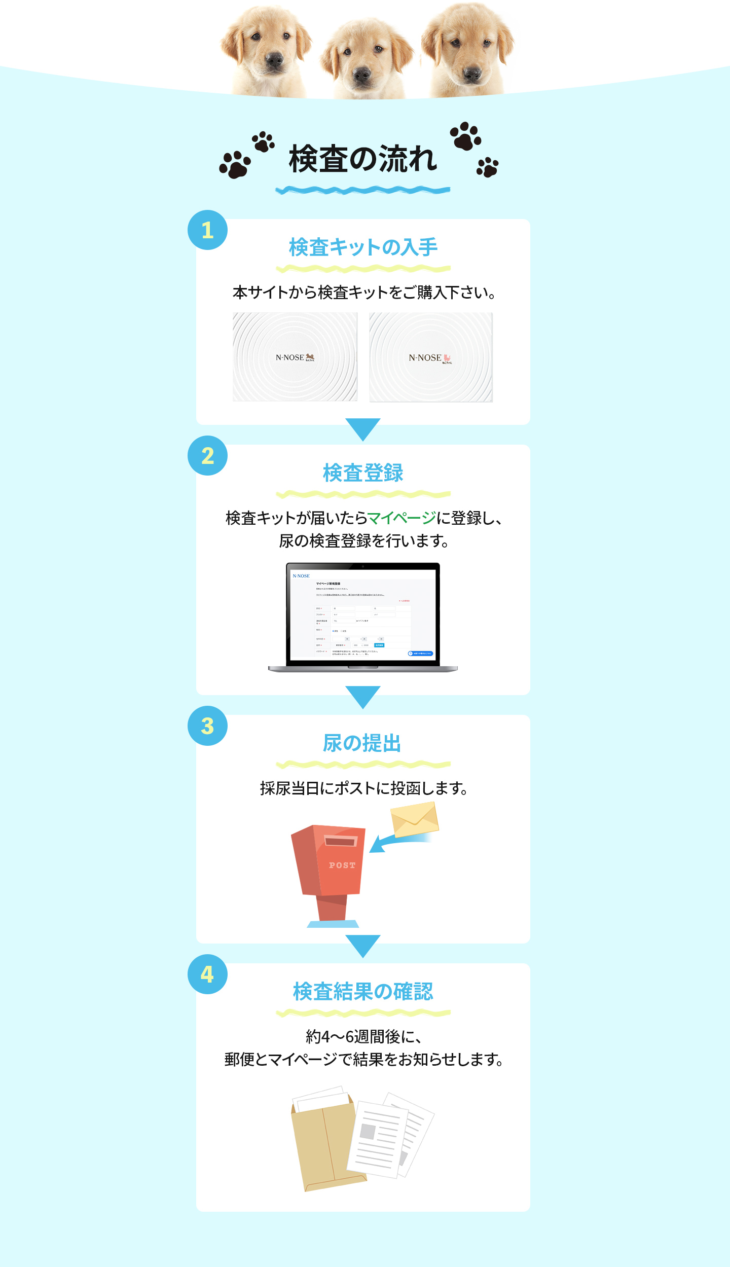 
            検査の流れ
            1.検査キットの入手
            2.検査登録
            3.尿の提出
            4.検査結果の確認