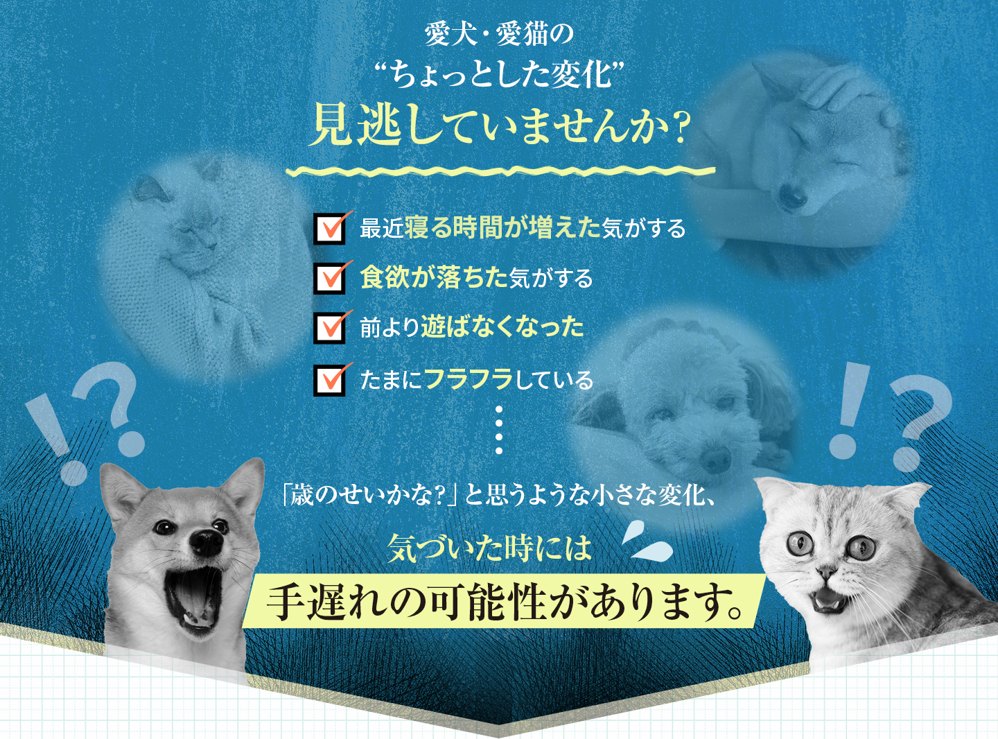 愛犬・愛猫のちょっとした変化見逃していませんか？
            ・最近寝る時間が増えた気がする
            ・食欲が落ちた気がする
            ・前より遊ばなくなった
            ・たまにフラフラしている
            歳のせいかな？と思うような小さな変化、気づいた時には手遅れの可能性があります。