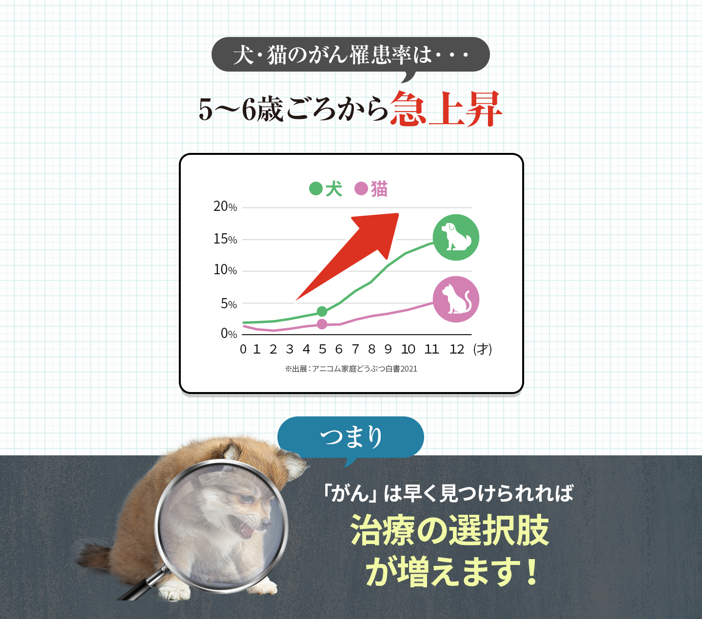 犬・猫のがん罹患率は5〜6歳ごろから急上昇。がんは早く見つけられれば治療の選択肢が増えます