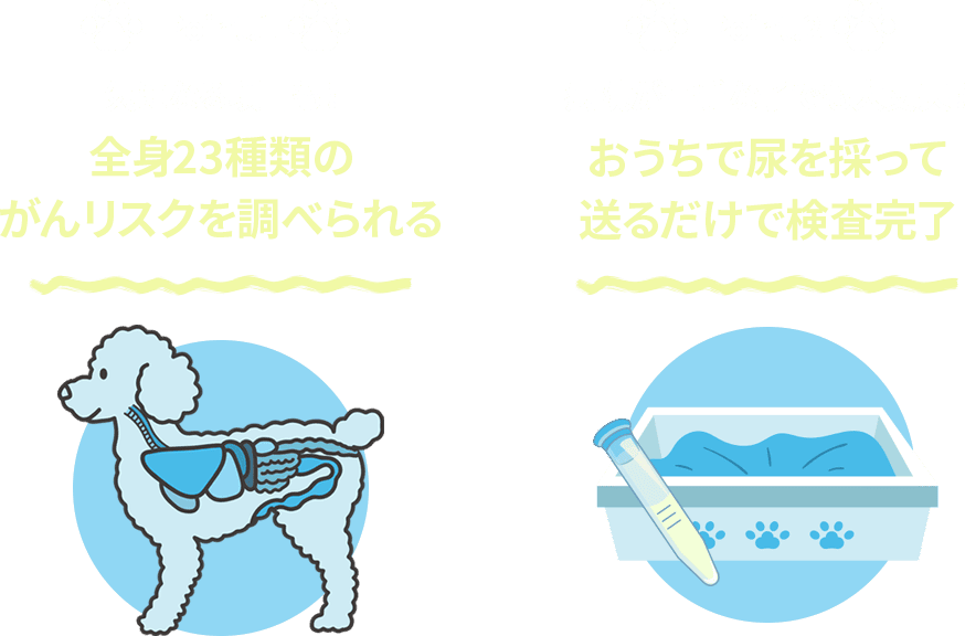 point1：気になる項目も！全身23種類のがんリスクを調べられる point2：病院が苦手な子でも大丈夫！お家で尿を取って送るだけで検査完了