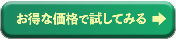 お得な価格で試してみる