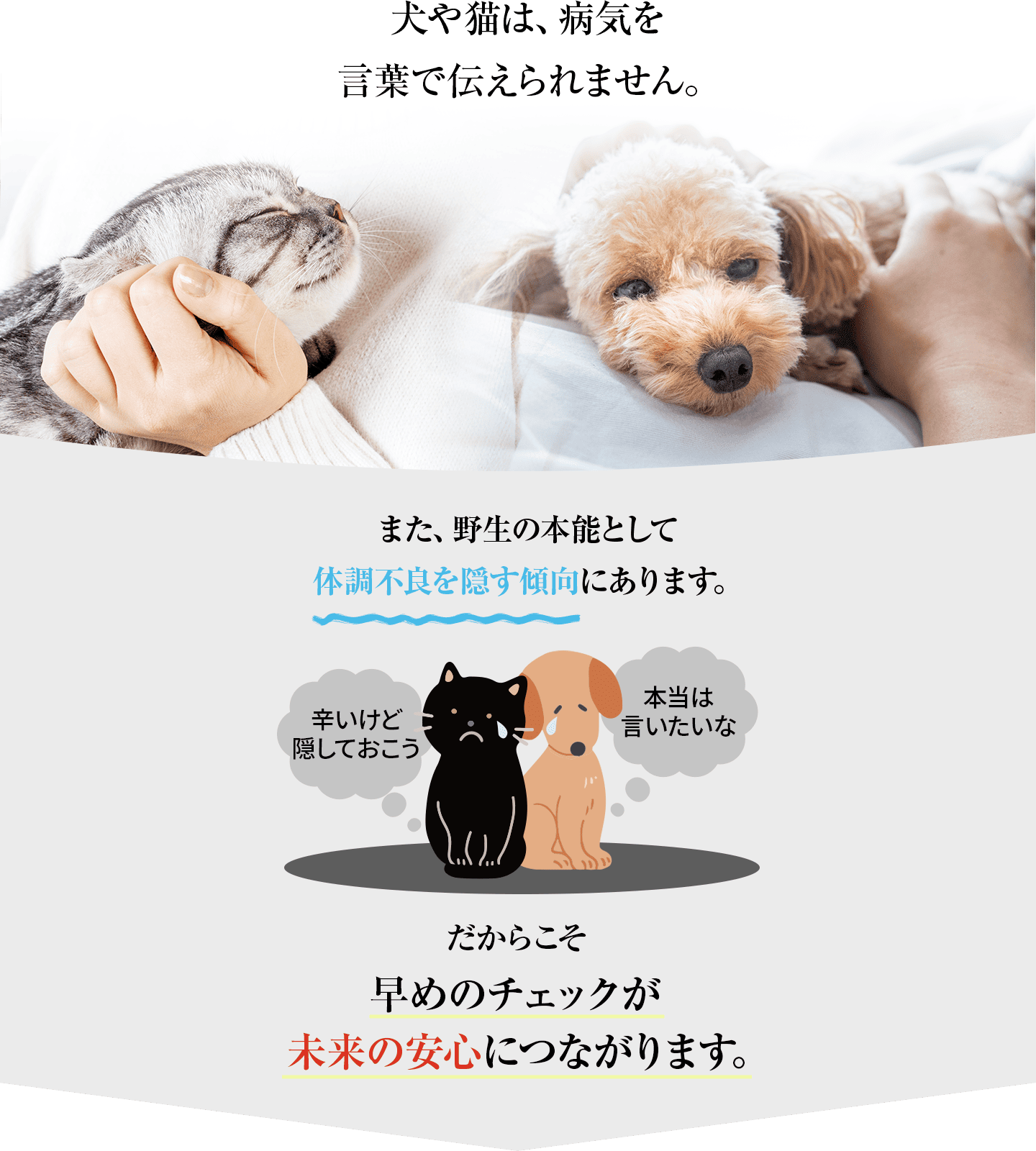 犬や猫は、病気を言葉で伝えられません。また、野生の本能として体調不良を隠す傾向にあります。だからこそ早めのチェックが未来の安心につながります。
