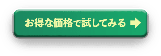お得な価格で試してみる