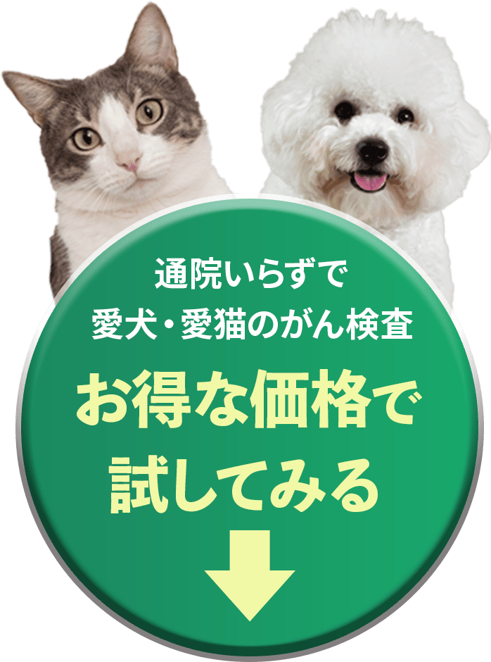 通院いらずで愛犬・愛猫の間検査お得な価格で試してみる